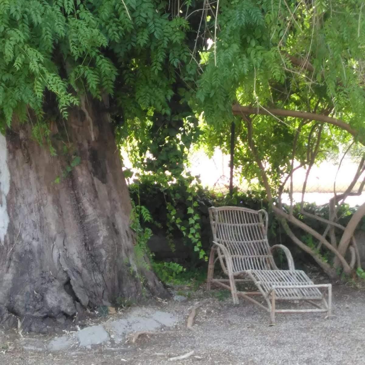 Habitacion Privada 2Personas Deltebre Dış mekan fotoğraf